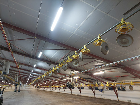 Zateplení podhledu haly na farmě Střelice